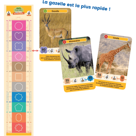 Défis Nature Junior - Rois de la Savane - Jeux de société - Bioviva Editions