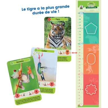 Défis Nature Junior - Mystères de la Jungle - Jeux de société - Bioviva Editions