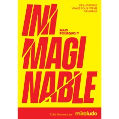 Inimaginable - Jeux de société - Gigamic