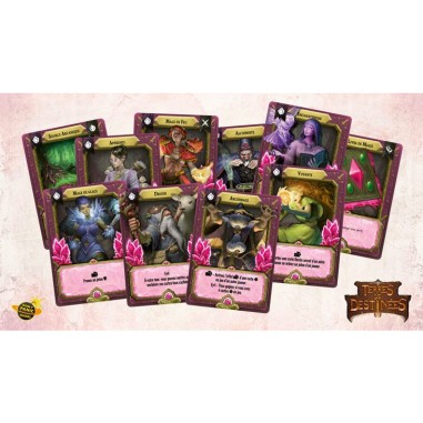 Terres de Destinées - Jeu de Société - Jeu de Cartes - Don t Panic Games