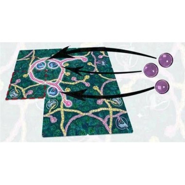 Fairy Trails - Jeux de société - Funforge