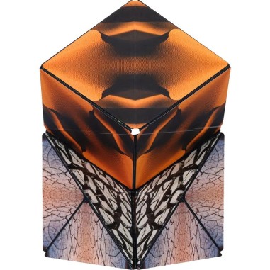 Duomoto - Parched - Casse-Tête - Fun In Motion Toys