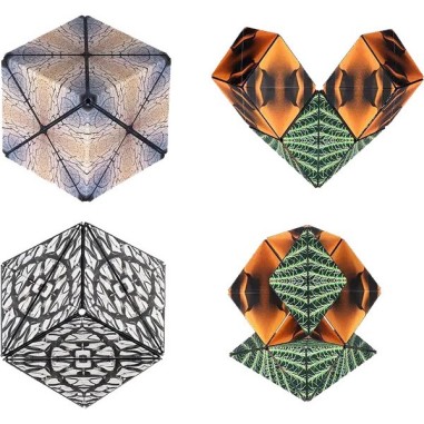 Duomoto - Parched - Casse-Tête - Fun In Motion Toys