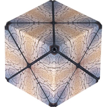 Duomoto - Parched - Casse-Tête - Fun In Motion Toys