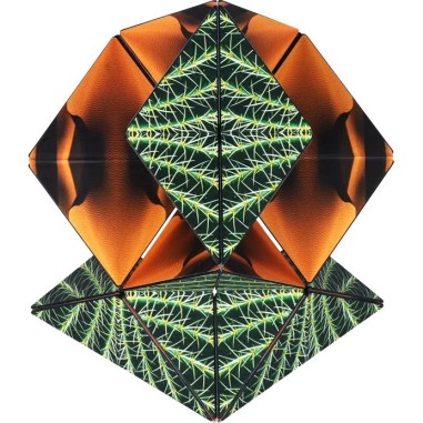 Duomoto - Parched - Casse-Tête - Fun In Motion Toys