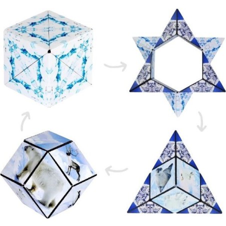 Shashibo Arctic - Jeux classiques - Fun In Motion Toys