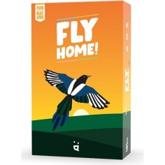 Jeu Fly Home ! - Helvetiq
