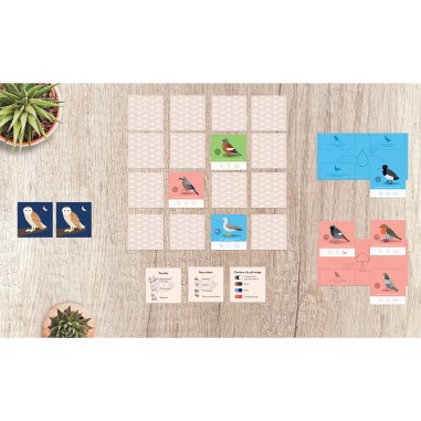 Fly Home ! - jeu de cartes coopératif - Helvetiq