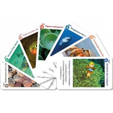 Ô Les Poissons! & autres merveilles! - Jeux de société - Sandra Moreira Editions