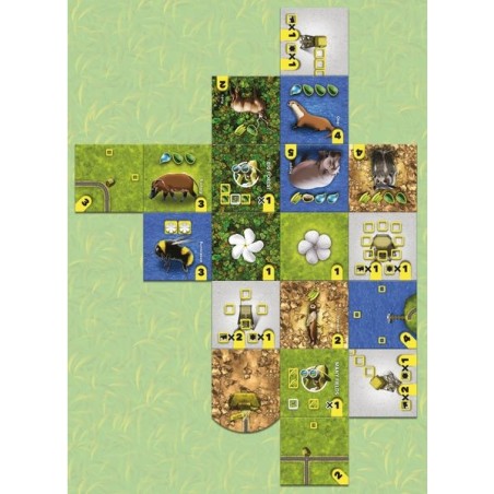 Habitats - Jeu de société - Cwali