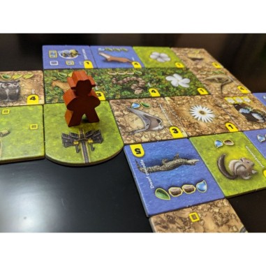 Habitats - Jeu de société - Cwali