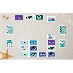 Fish'n'flip - jeu de cartes coopératif - Helvetiq 2