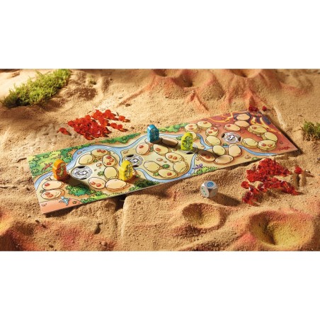 Au Pays des Petits Dragons - Le jeu - Jeu de société - Haba
