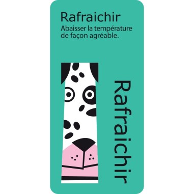 Synodingo - jeu éducatif de synonymes et contraires - Cocktail Games