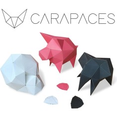 Carapaces By Doug: Rose - Iello - Jeux classiques - Doug Factory