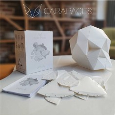 Carapaces By Doug: Blanc - Iello - Jeux classiques - Doug Factory 2