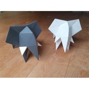 Carapaces By Doug: Blanc - Iello - Jeux classiques - Doug Factory