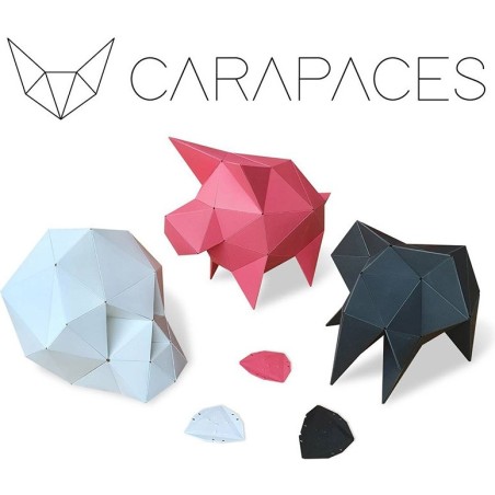 Carapaces By Doug: Anthracite - Iello - Jeux classiques - Doug Factory