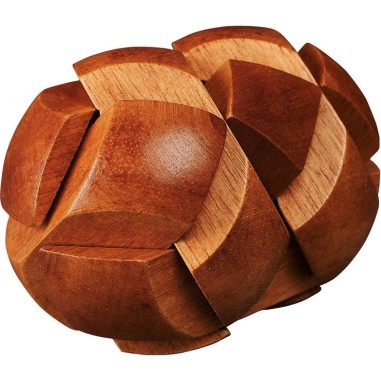 Great Minds - Darwin’s Egg of Evolution - Jeux classiques - Casse-têtes - Professor Puzzle