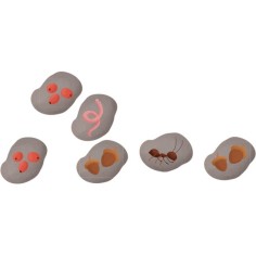 Attention… Prêts? Mangez! - Jeux enfants - Auzou 2