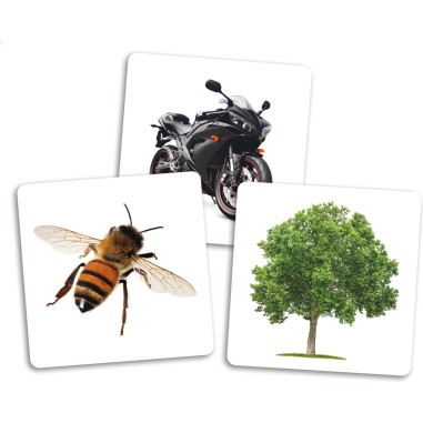 Le Dé des Premiers Mots - Cartes Supplémentaires - Jeux enfants - Placote