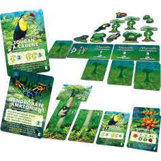 Canopée - Jeux de société - Lucky Duck Games 2