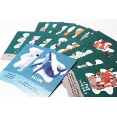 L'île des prédateurs - Micro game - Jeux de société - Matagot